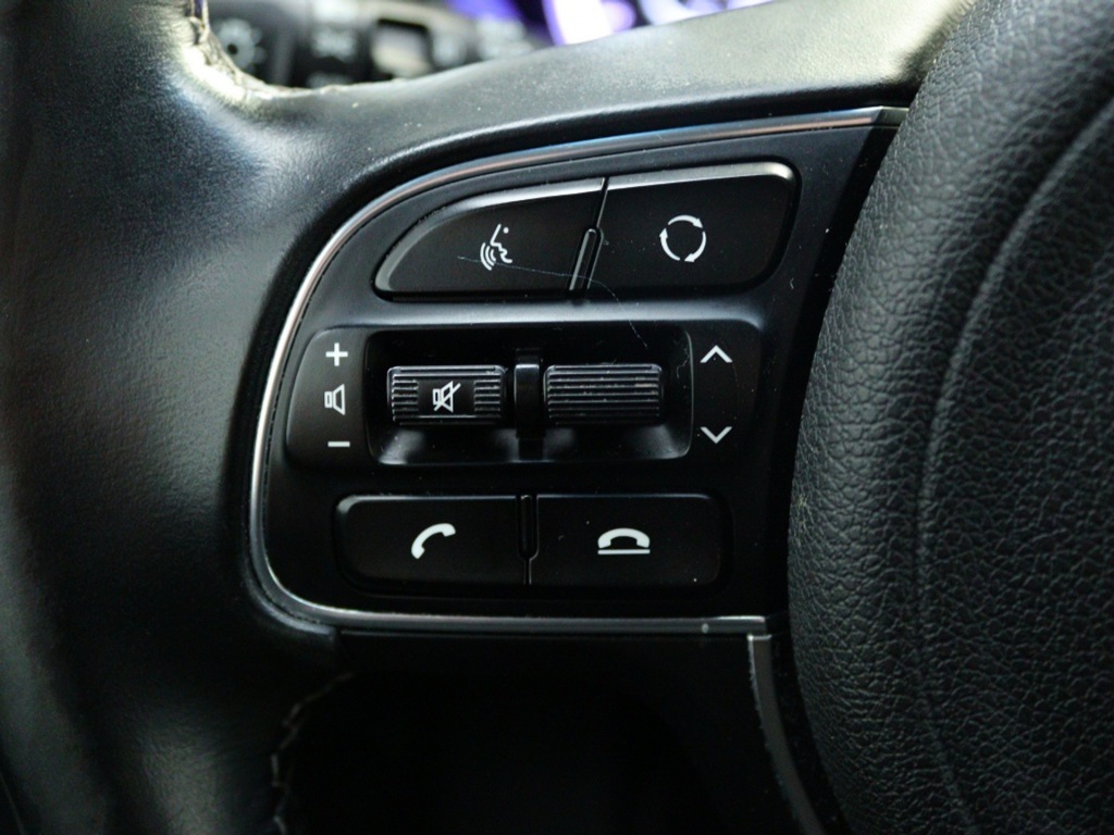KIA-NIRO-1.6 GDi PHEV DynPL Dodehoek detectie Stuur/Stoel Verwarming