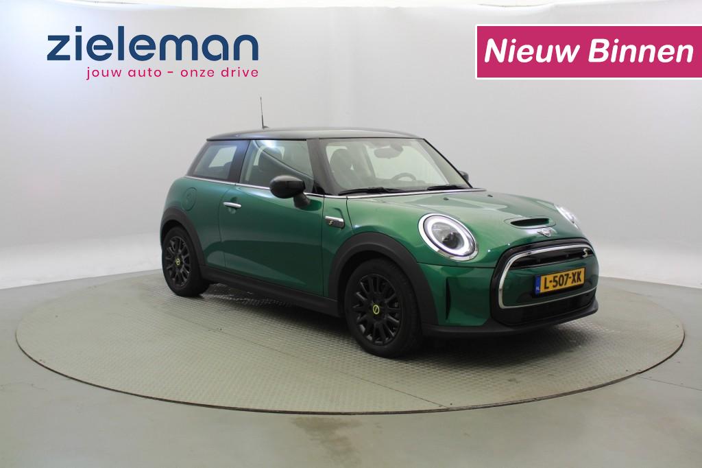 MINI MINI ELECTRIC